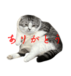 福とあたり（個別スタンプ：5）