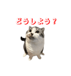 福とあたり（個別スタンプ：9）