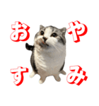 福とあたり（個別スタンプ：10）