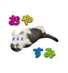 福とあたり（個別スタンプ：17）