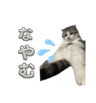福とあたり（個別スタンプ：25）