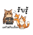 ミキ・フク・ピノ：ちょいワルねこたち（個別スタンプ：2）