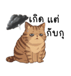ミキ・フク・ピノ：ちょいワルねこたち（個別スタンプ：7）