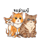 ミキ・フク・ピノ：ちょいワルねこたち（個別スタンプ：10）