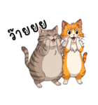 ミキ・フク・ピノ：ちょいワルねこたち（個別スタンプ：13）