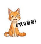 ミキ・フク・ピノ：ちょいワルねこたち（個別スタンプ：16）