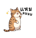 ミキ・フク・ピノ：ちょいワルねこたち（個別スタンプ：22）