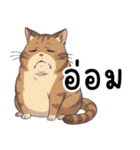 ミキ・フク・ピノ：ちょいワルねこたち（個別スタンプ：23）