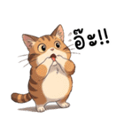 ミキ・フク・ピノ：ちょいワルねこたち（個別スタンプ：24）