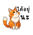 ミキ・フク・ピノ：ちょいワルねこたち（個別スタンプ：33）