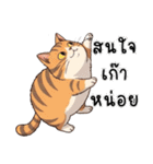 ミキ・フク・ピノ：ちょいワルねこたち（個別スタンプ：34）