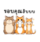 ミキ・フク・ピノ：ちょいワルねこたち（個別スタンプ：35）
