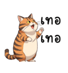 ミキ・フク・ピノ：ちょいワルねこたち（個別スタンプ：36）