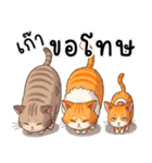 ミキ・フク・ピノ：ちょいワルねこたち（個別スタンプ：37）