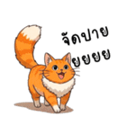 ミキ・フク・ピノ：ちょいワルねこたち（個別スタンプ：39）