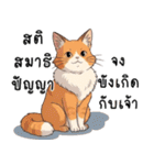ミキ・フク・ピノ：ちょいワルねこたち（個別スタンプ：40）
