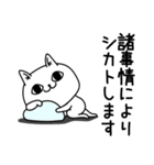 じろりねこ敬語親しき間柄（個別スタンプ：4）