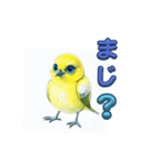 NEWピーコちゃん 簡単なあいさつ（個別スタンプ：8）