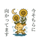 うさっ娘②【夏】……（個別スタンプ：8）