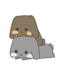 日常で使えるなかよしうさぎちゃんスタンプ（個別スタンプ：6）