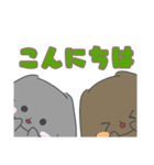 日常で使えるなかよしうさぎちゃんスタンプ（個別スタンプ：14）