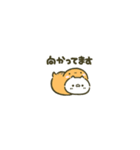 【動く】豆ねこ☆ツチノコ（個別スタンプ：11）