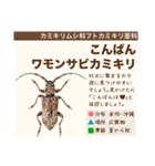 架空昆虫生き物図鑑（個別スタンプ：3）