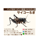 架空昆虫生き物図鑑（個別スタンプ：11）
