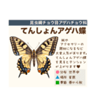 架空昆虫生き物図鑑（個別スタンプ：12）