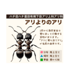 架空昆虫生き物図鑑（個別スタンプ：14）