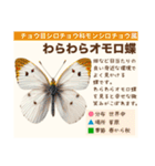架空昆虫生き物図鑑（個別スタンプ：15）