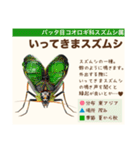 架空昆虫生き物図鑑（個別スタンプ：17）