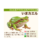 架空昆虫生き物図鑑（個別スタンプ：18）