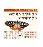 架空昆虫生き物図鑑（個別スタンプ：19）