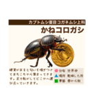 架空昆虫生き物図鑑（個別スタンプ：20）