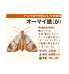 架空昆虫生き物図鑑（個別スタンプ：21）