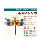 架空昆虫生き物図鑑（個別スタンプ：22）
