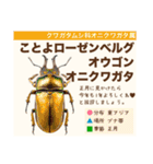 架空昆虫生き物図鑑（個別スタンプ：28）