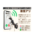 架空昆虫生き物図鑑（個別スタンプ：31）