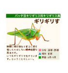 架空昆虫生き物図鑑（個別スタンプ：34）