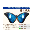 架空昆虫生き物図鑑（個別スタンプ：35）