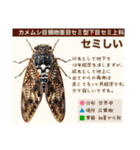 架空昆虫生き物図鑑（個別スタンプ：36）