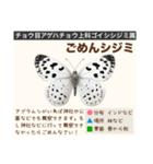 架空昆虫生き物図鑑（個別スタンプ：37）