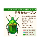 架空昆虫生き物図鑑（個別スタンプ：38）