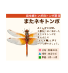 架空昆虫生き物図鑑（個別スタンプ：40）