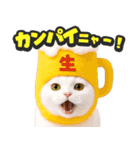 飛び出す★リアル猫（個別スタンプ：21）