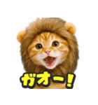 飛び出す★リアル猫（個別スタンプ：23）