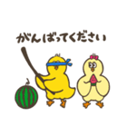 ひよこちゃんの夏スタンプ（個別スタンプ：11）