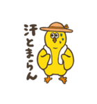 ひよこちゃんの夏スタンプ（個別スタンプ：20）