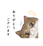 絵本に出てきそうな猫2（個別スタンプ：2）